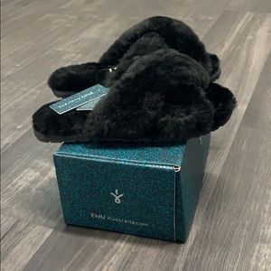 EMU Austrialian Sleepers